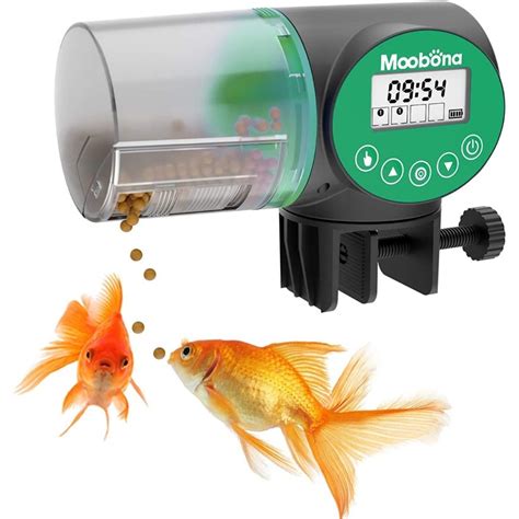 automatic fish feeder|6 Best Automatic Fish Feeder Options (Reviews).